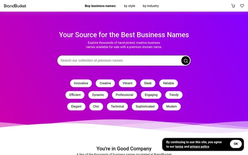 Screenshot of the BrandBucket® homepage